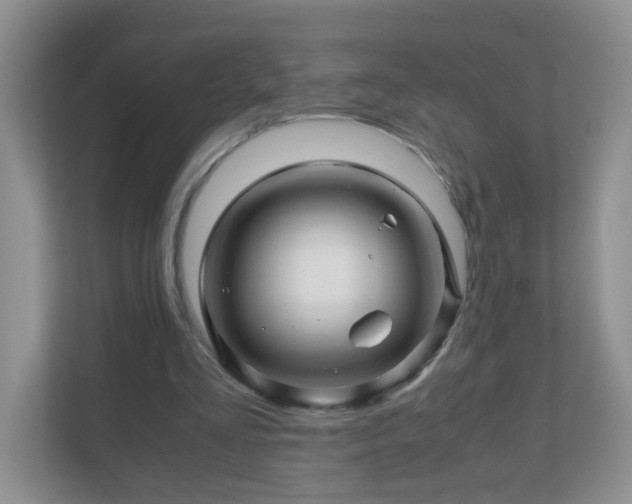 X0000111680293200907241238