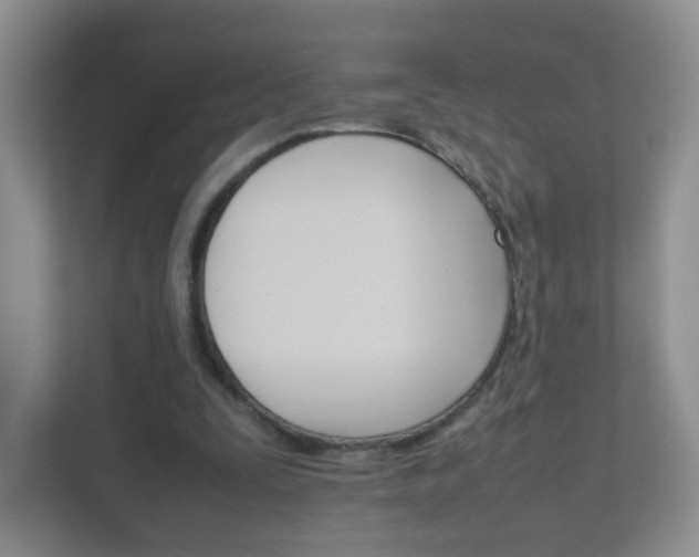 X0000111680295200907241238