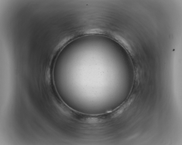 X0000111680298200907241238