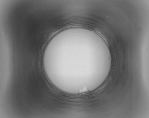 X0000111680301200907241238