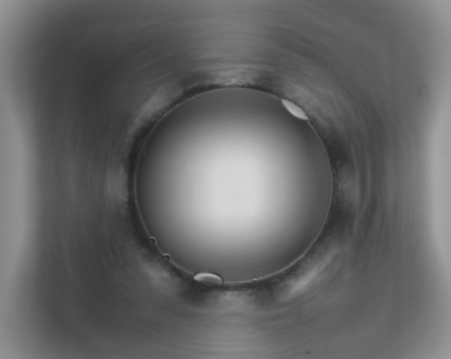 X0000111680303200907241238