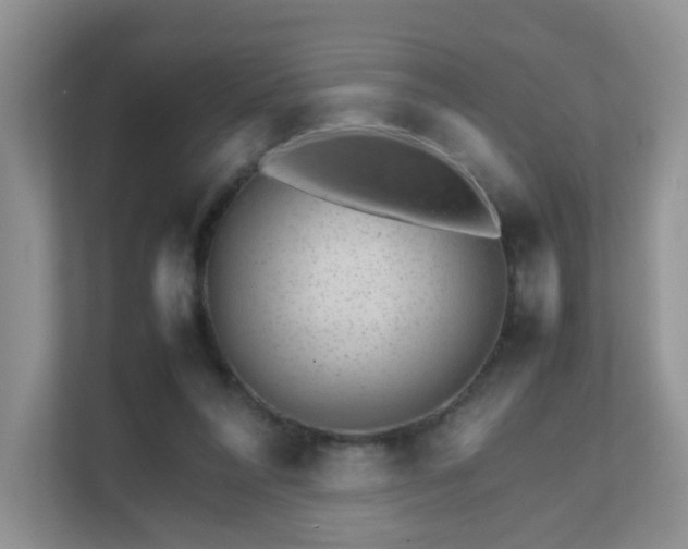 X0000111680304200907241238