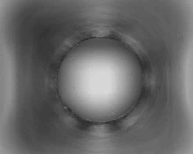 X0000111680307200907241238