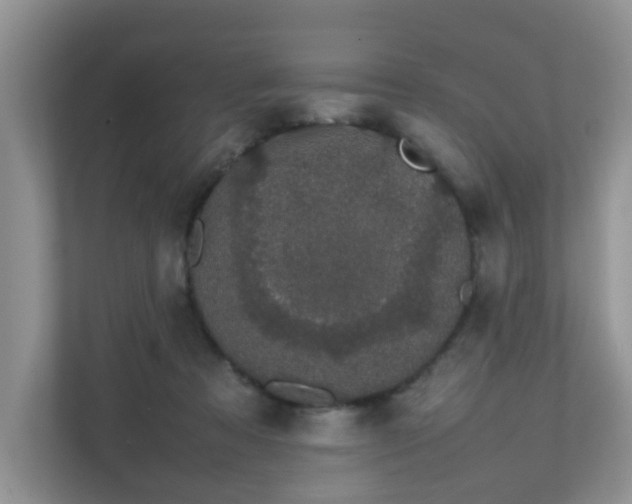 X0000111680313200907241238