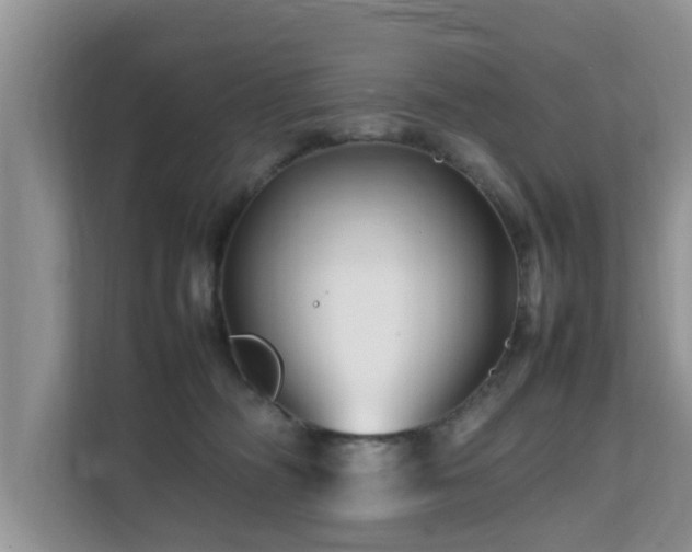 X0000111680326200907241238