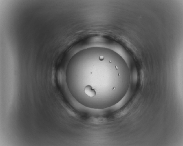 X0000111680327200907241238