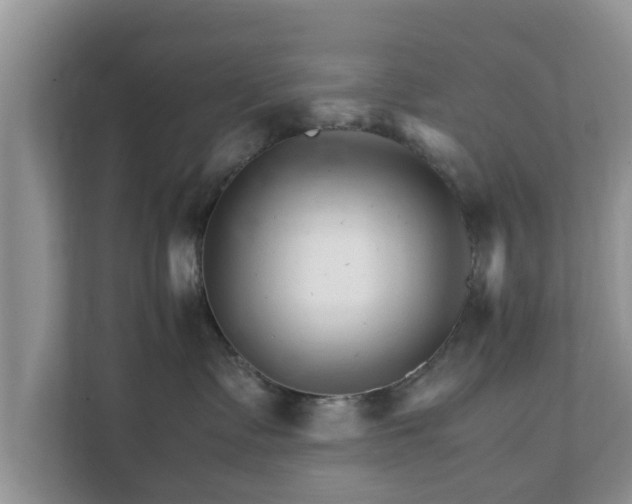 X0000111680335200907241238