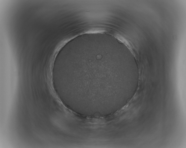 X0000111680337200907241237