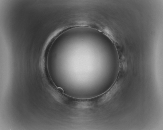 X0000111680342200907241237