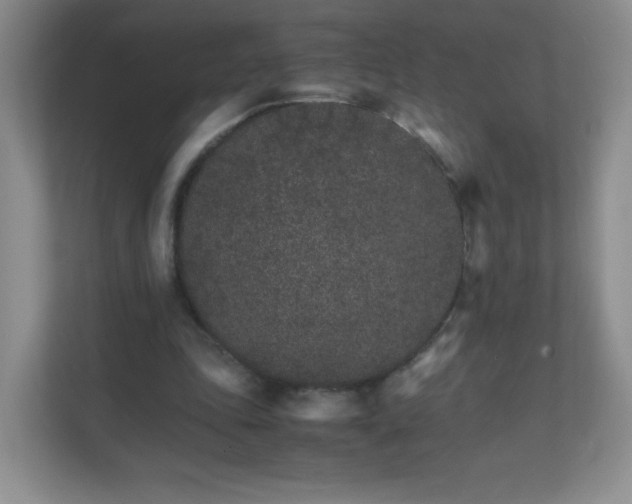 X0000111680343200907241237