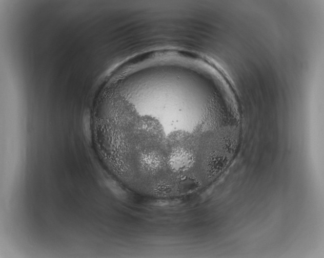 X0000111680345200907241237