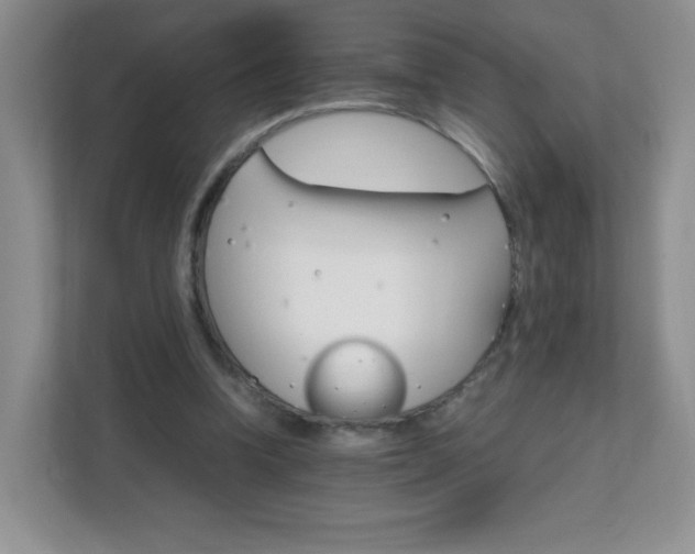 X0000111680346200907241237