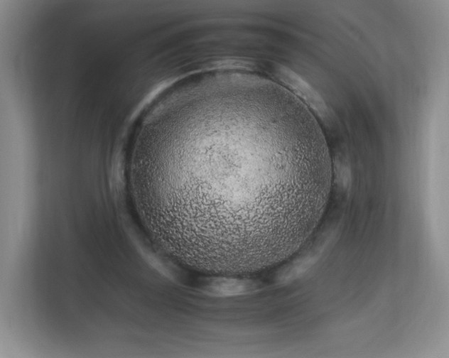 X0000111680347200907241237