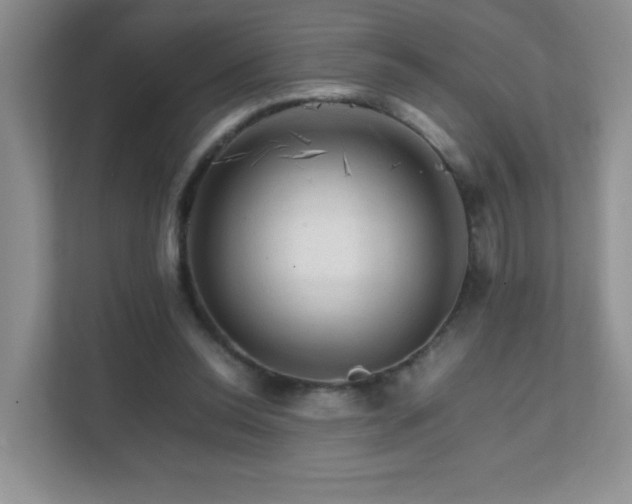 X0000111680350200907241237