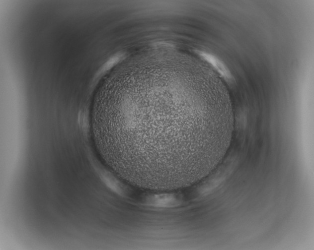 X0000111680353200907241237