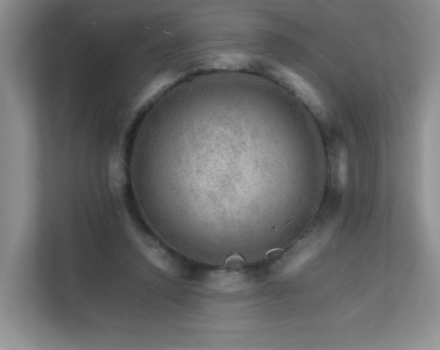 X0000111680354200907241237