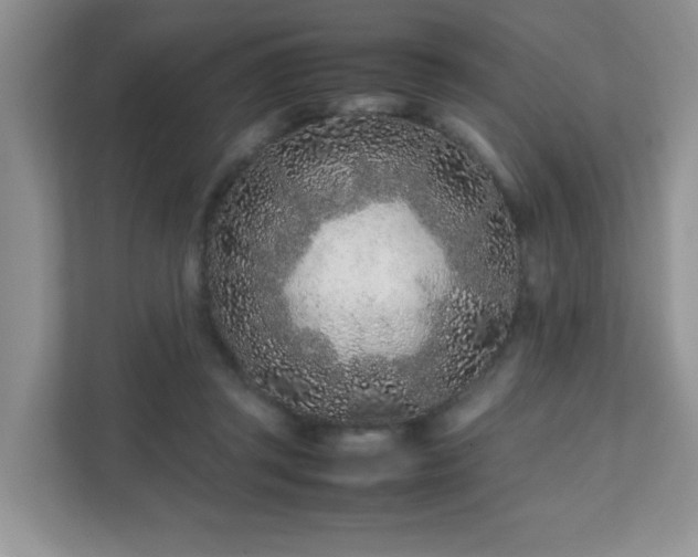 X0000111680357200907241237