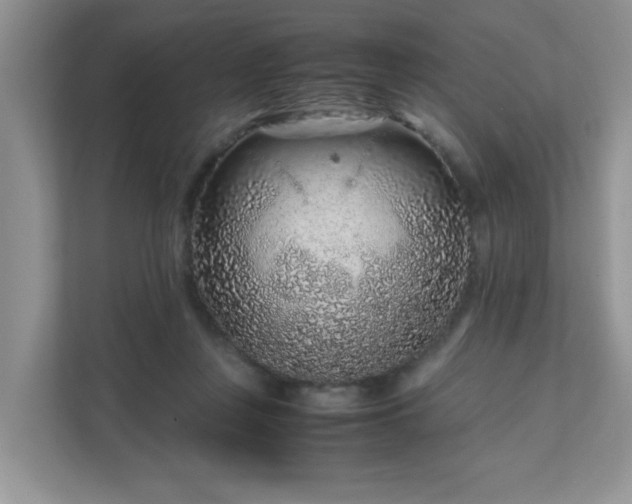 X0000111680359200907241237