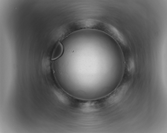 X0000111680366200907241237