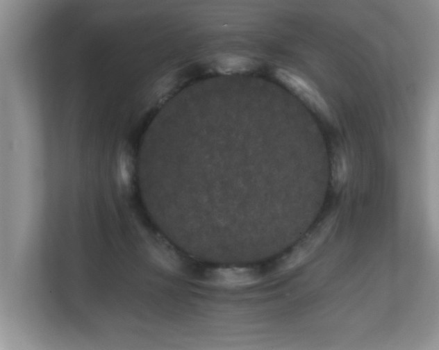 X0000111680367200907241237