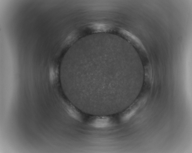 X0000111680369200907241238