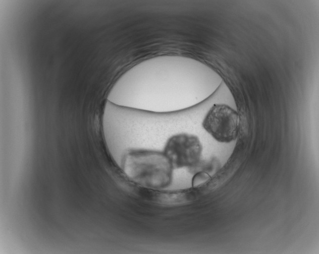 X0000111680375200907241238