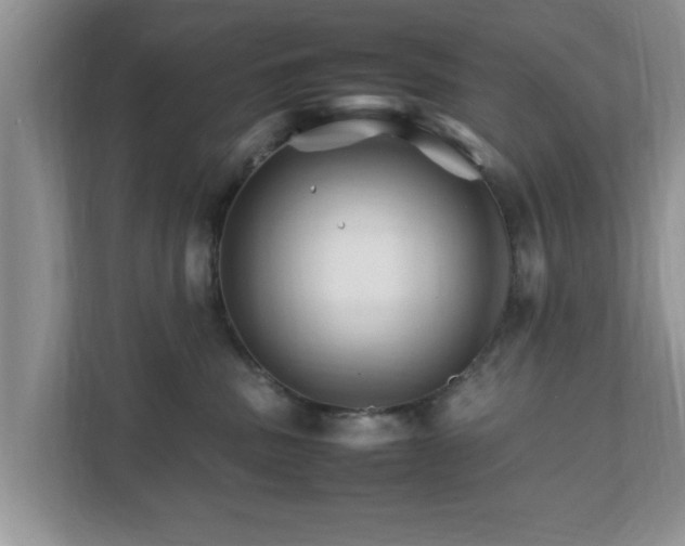 X0000111680379200907241238