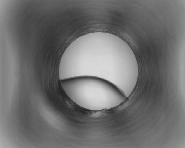 X0000111680382200907241238