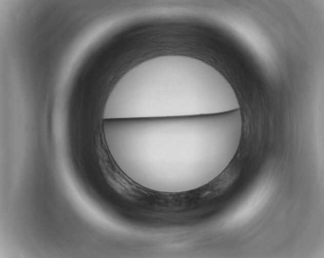 X0000111680383200907241238