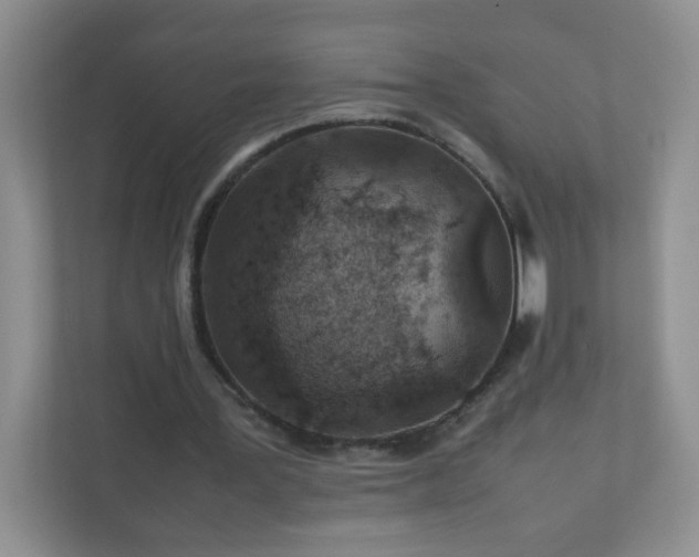 X0000111680387200907241237