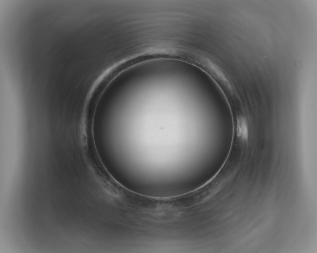 X0000111680388200907241237