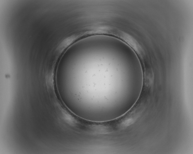 X0000111680389200907241237