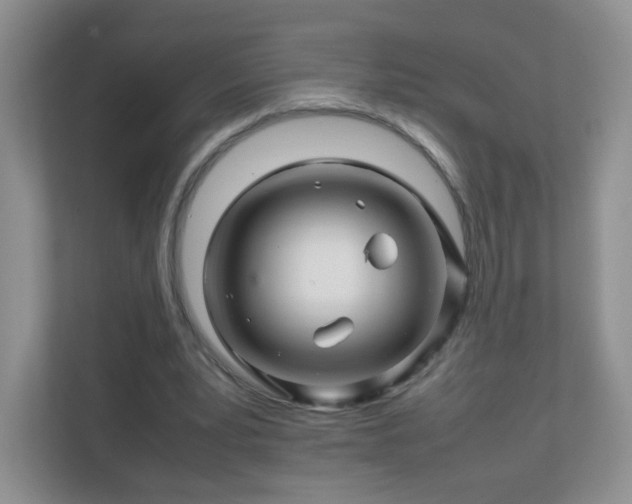 X0000111680391200907241237