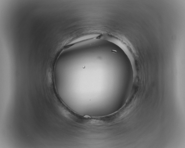 X0000111680393200907241237