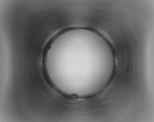 X0000111680396200907241237