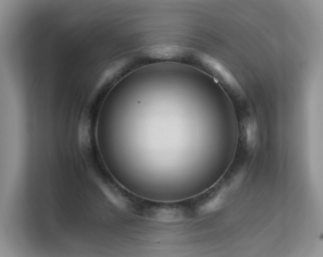 X0000111680400200907241237