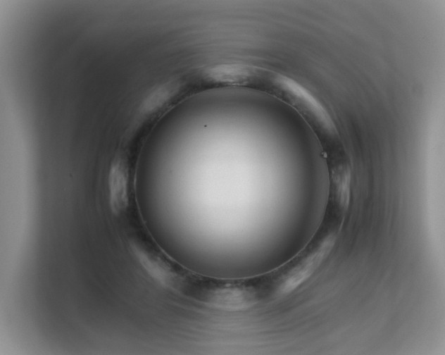 X0000111680404200907241237