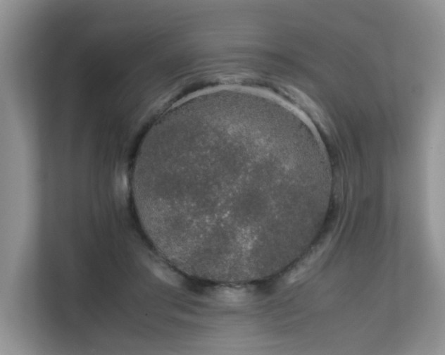 X0000111680405200907241237