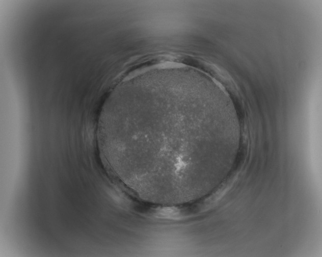 X0000111680409200907241237