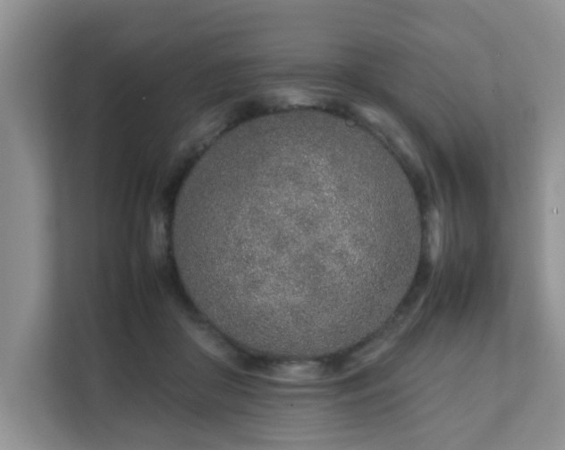 X0000111680410200907241237