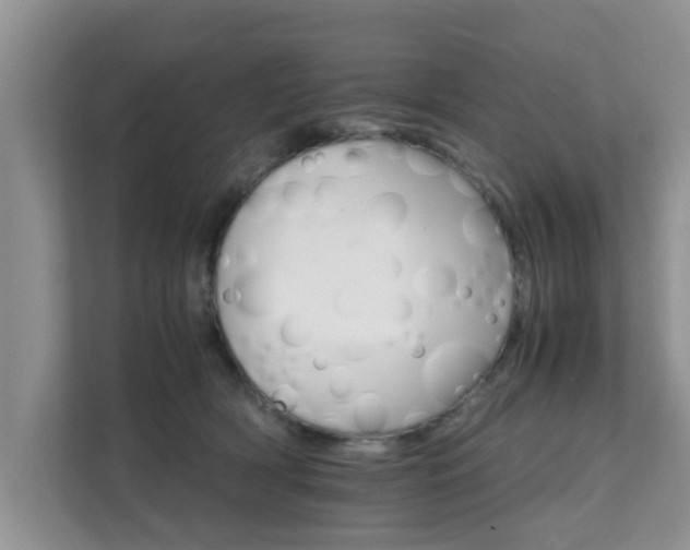 X0000111680418200907241237