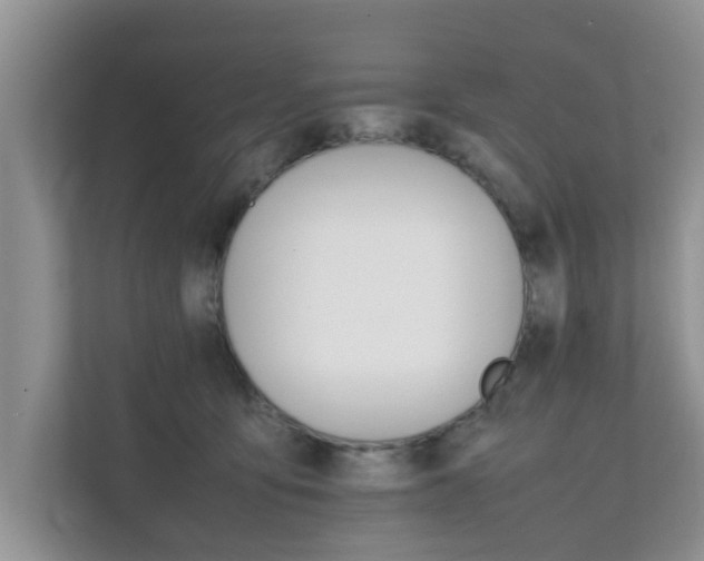 X0000111680419200907241237