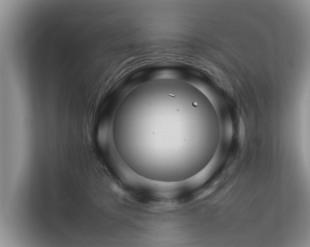 X0000111680421200907241237