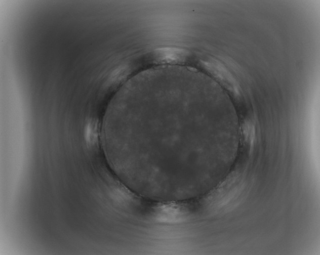 X0000111680423200907241237