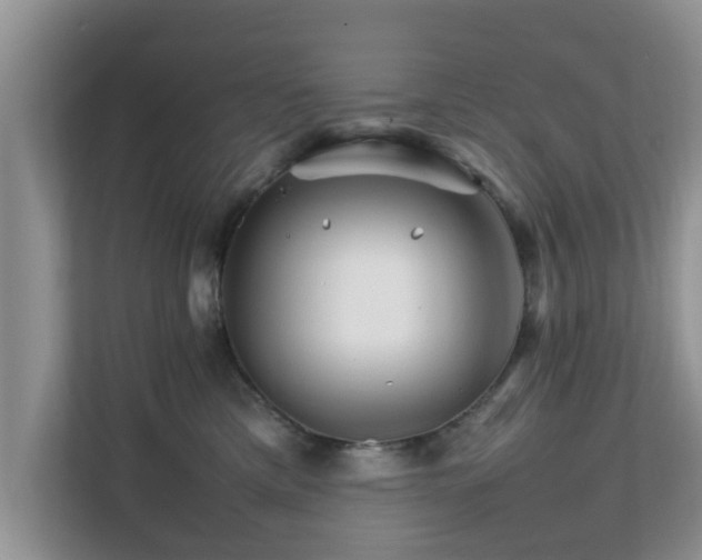 X0000111680425200907241237