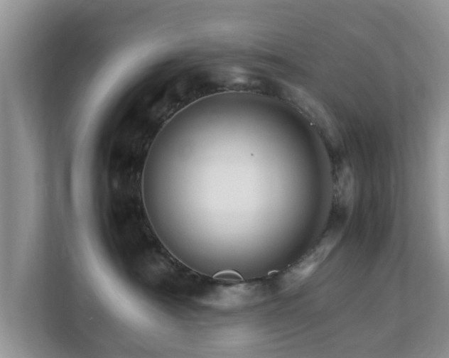 X0000111680430200907241236