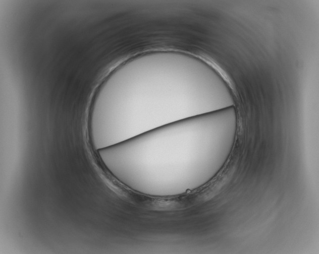 X0000111680437200907241236