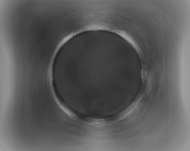 X0000111680438200907241236