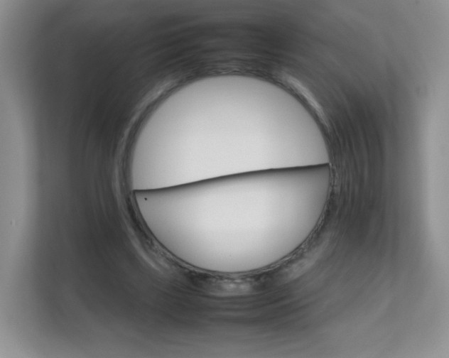 X0000111680443200907241236