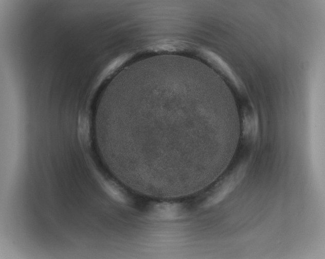 X0000111680444200907241236